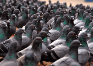 Screen-Shot-2015-11-17-at-11.19.28-AM