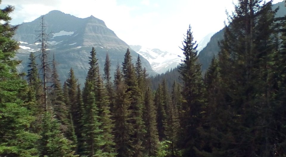 Avalanche Creek Trail 1