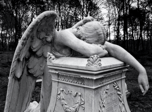 Screen shot 2015-11-16 at 12_44_36 PM