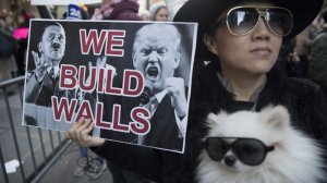 anti-trump-protests-1114