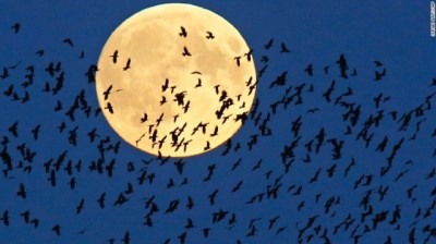 image-supermoon-dan-hujan-meteor-akan-hiasi-langit-malam-ini